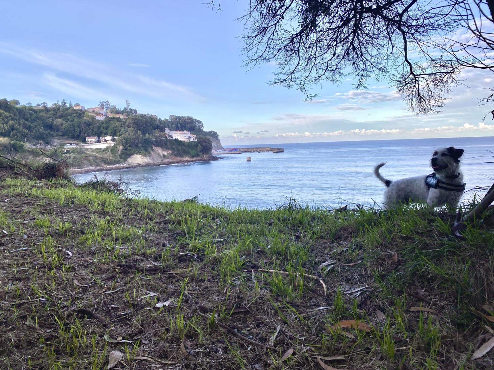 Respirando Salitre Apartamento En Lastres Dış mekan fotoğraf